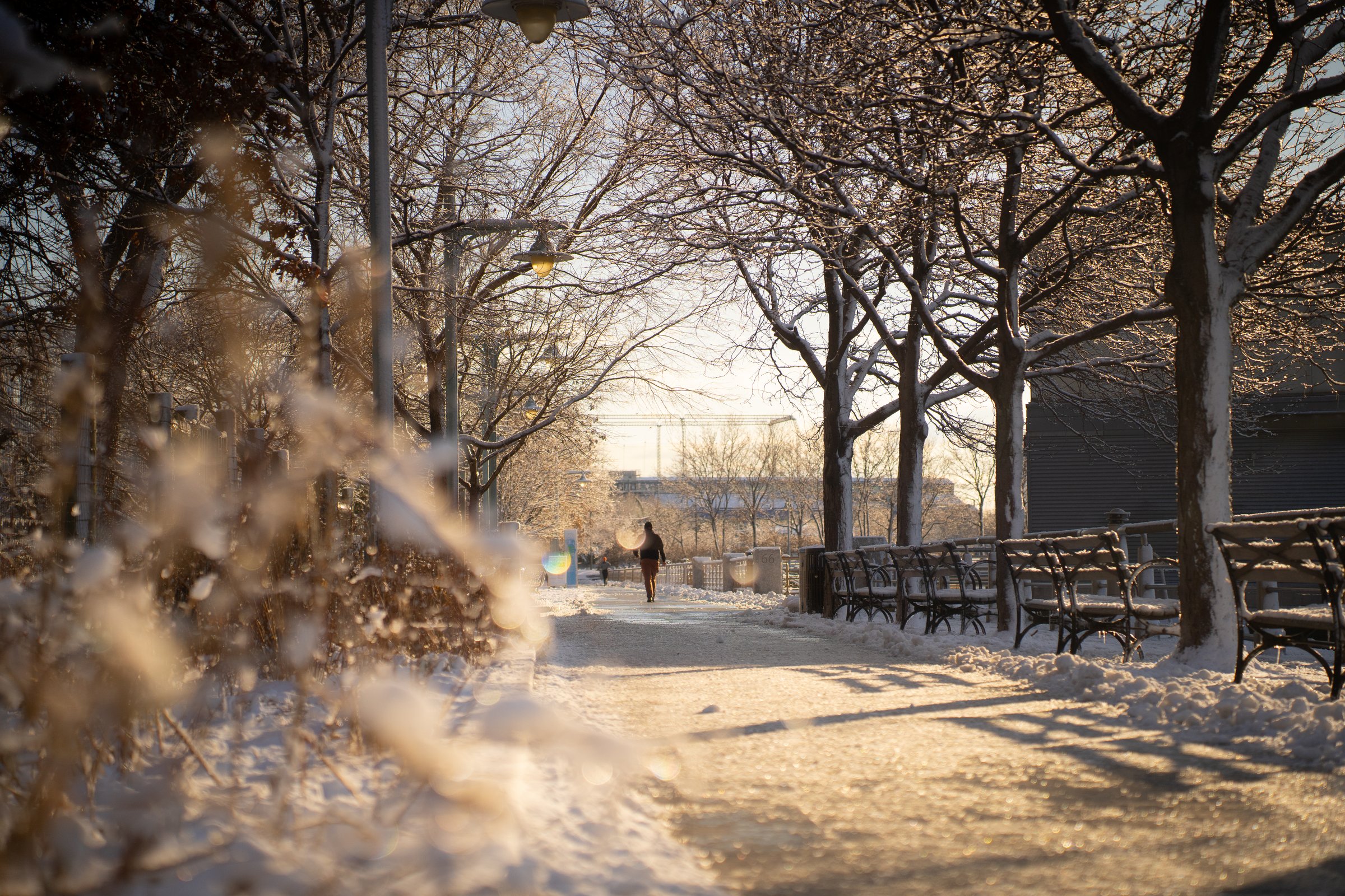 Snowy park walkway at golden hour, lone figure walking past benches